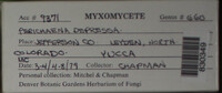 Image Associated With the Occurence